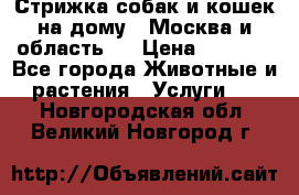 Стрижка собак и кошек на дому.  Москва и область.  › Цена ­ 1 200 - Все города Животные и растения » Услуги   . Новгородская обл.,Великий Новгород г.